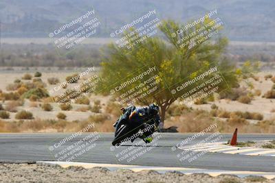 media/Apr-10-2022-SoCal Trackdays (Sun) [[f104b12566]]/Turn 5 Tree of Life (1040am)/